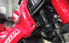 HONDA CT125 HUNTER CUB 2000 JA55