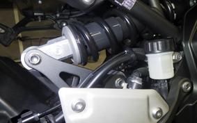 KAWASAKI Z900 Gen.2 2020 ZR900B