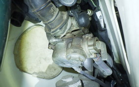 HONDA C50 SUPER CUB 2024 C50