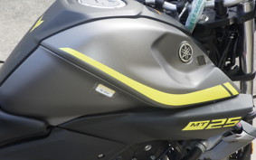 YAMAHA MT-25 RG43J