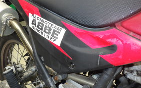 KAWASAKI SUPER SHERPA 2020 KL250G