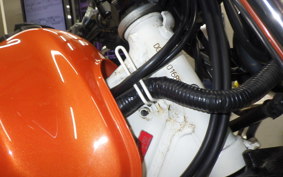 YAMAHA TW225 2025 DG09J