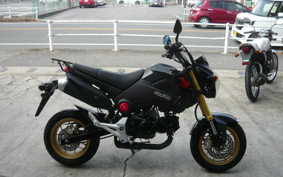 HONDA GROM JC61