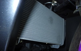 YAMAHA YZF R-3 2025 RH21J