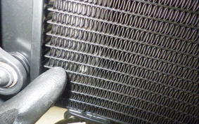 HUSQVARNA SVARTPILEN 250