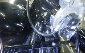 HARLEY FLSL 1750 2019