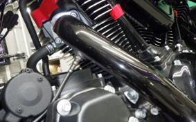 HARLEY FLTRXSTSE1980CVO 2025