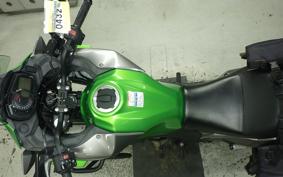 KAWASAKI VERSYS-X 250 A LE250D