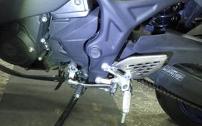 YAMAHA YZF-R25 2007 RG10J