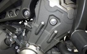 YAMAHA MT-09 2015 RN34J