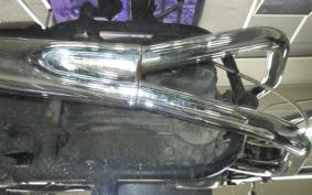 KAWASAKI Z250 Limited 2022 KZ250H