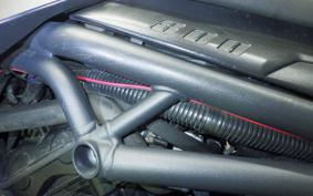 TRIUMPH TIGER 800 2013