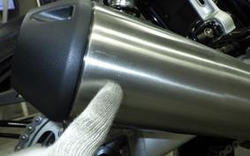 TRIUMPH SPEED ​​TWIN 1200 RS 2025