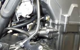 HONDA REBEL 500 A 2023 PC60