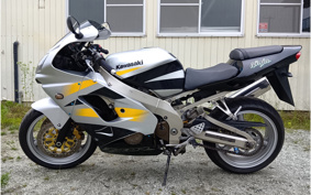 KAWASAKI ZX900R NINJA 2002 00F002