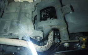 HONDA LEAD 125 2025 JF45