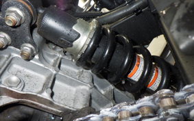 KAWASAKI NINJA 250 2 2021 EX250P