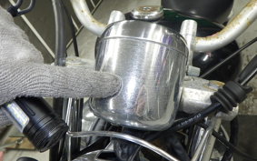 YAMAHA VIRAGO 250 3DM