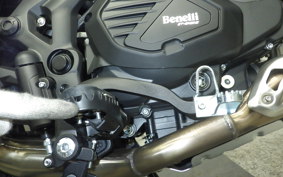 BENELLI TRK502X 2026