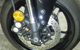 YAMAHA XSR900 GP 2024 RN96J