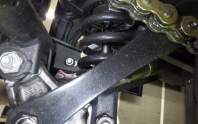 KAWASAKI Z250 A 2024 ER250C