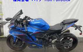 OTHER ZX-4RSE 2023