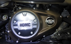 HARLEY RH1250S 2022