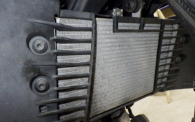 YAMAHA MT-25 RG43J
