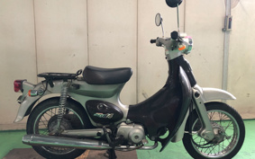 HONDA LITTLE CUB C50
