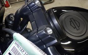 HARLEY RH975S 2024