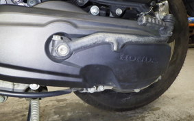 HONDA TACT-4ﾍﾞｰｼｯｸ 2020 AF79