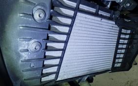 YAMAHA MT-25 A RG74J