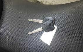 KAWASAKI NINJA 250R 2025 EX250K