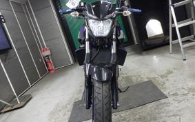 YAMAHA MT-25 2008 RG43J