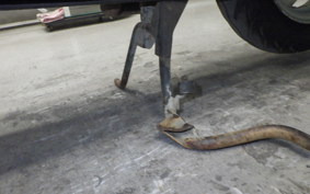 YAMAHA JOG 90 Sports Edition 2001 3WF