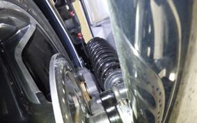HARLEY FLTRX1920 2025