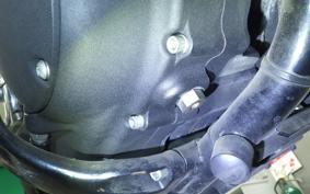 HARLEY XL883RI 2007