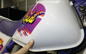 YAMAHA TT250R RAID 4GY