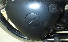 KAWASAKI W800 CAFE 2020 EJ800B