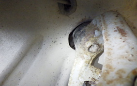 OTHER +RABBIT125 S302