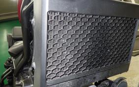 HONDA REBEL 250 S MC49