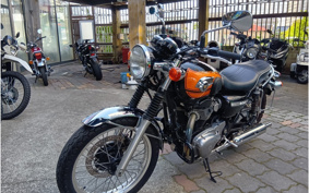 KAWASAKI W800 FINAL ED 2019 EJ800A