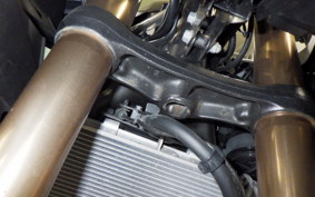 HONDA CBR400R 2023 NC56