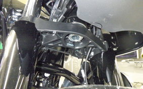 HARLEY FLTRXL1920 2026