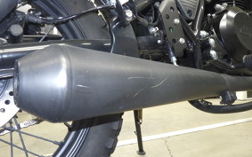 OTHER UNREGISTERED MODEL by BDS250 2021