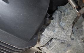 OTHER CAN-AMﾗｲｶｰ900 2019