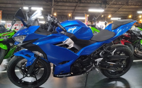 KAWASAKI NINJA 250 EX250P