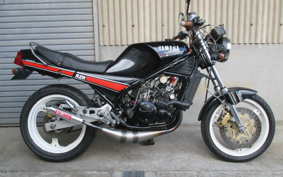 YAMAHA RZ250R 29L