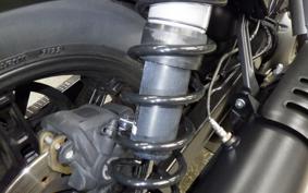 HARLEY RH975 2024