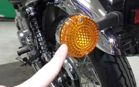 KAWASAKI W800 2025 EJ800E